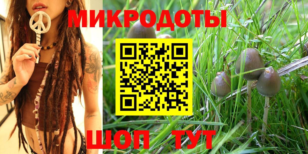 Псилоцибиновые грибы Psilocybine cubensis Благовещенск